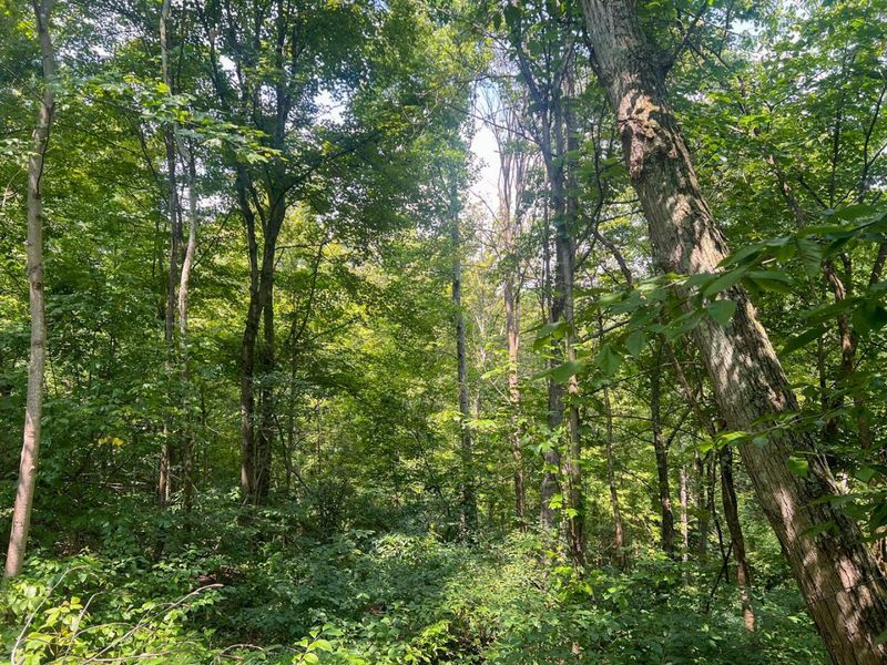 603 Fairgreens Road, Jackson, OH 45640 Photo 22