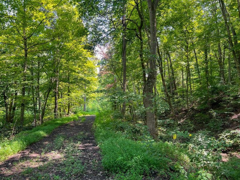 603 Fairgreens Road, Jackson, OH 45640 Photo 25