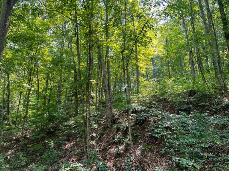 603 Fairgreens Road, Jackson, OH 45640 Photo 26