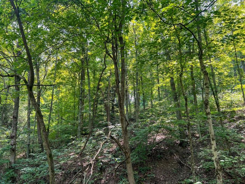 603 Fairgreens Road, Jackson, OH 45640 Photo 27