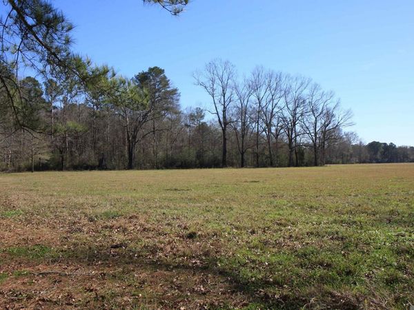 TBD Lot 1 La Hwy 958, Slaughter, LA 70777