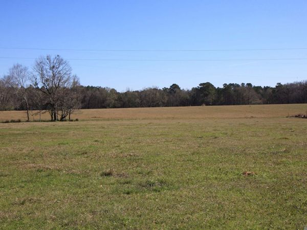TBD Lot 4 La Hwy 958, Slaughter, LA 70777
