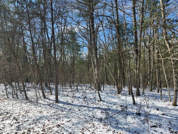 219 Newcastle Lane, Crossville, TN 38558