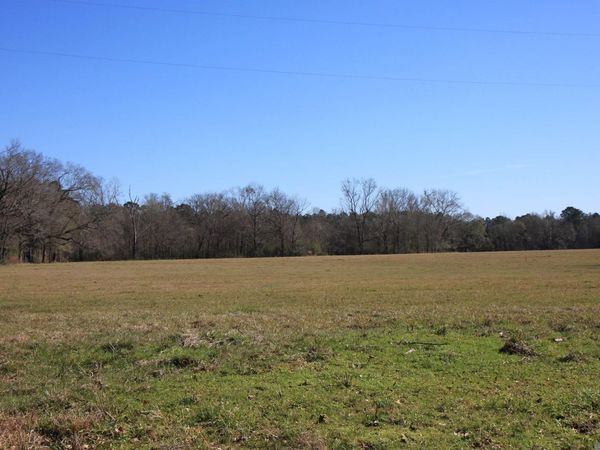 TBD Lot 2 La Hwy 958, Slaughter, LA 70777