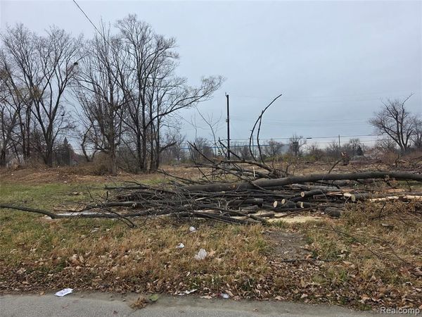 528 Adeline Street , Detroit, MI 48203