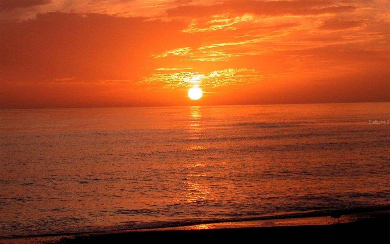 8504 Heron Lagoon Circle, Sarasota, FL 34242 Photo