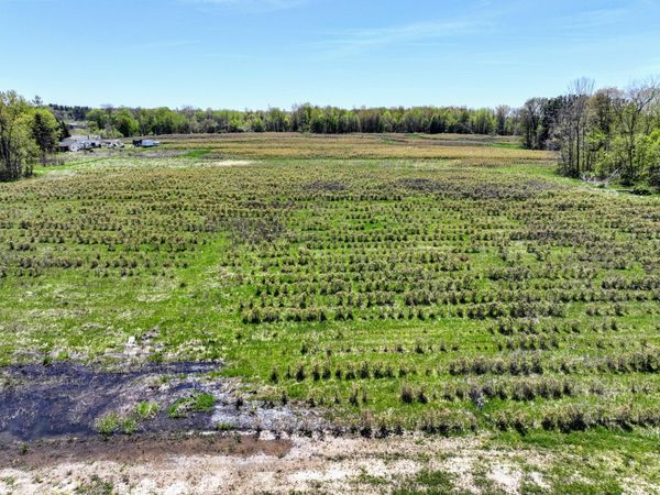 59237 Benny Ct (Private), Unit Parcel 4, Grand Junction, MI 49056