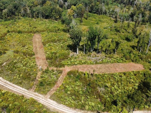 5 Highway 35 , Walnut Grove, MS 39189