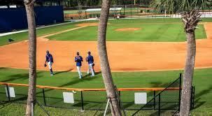 738 SW Ravenswood Lane, Port Saint Lucie, FL 34983 Photo