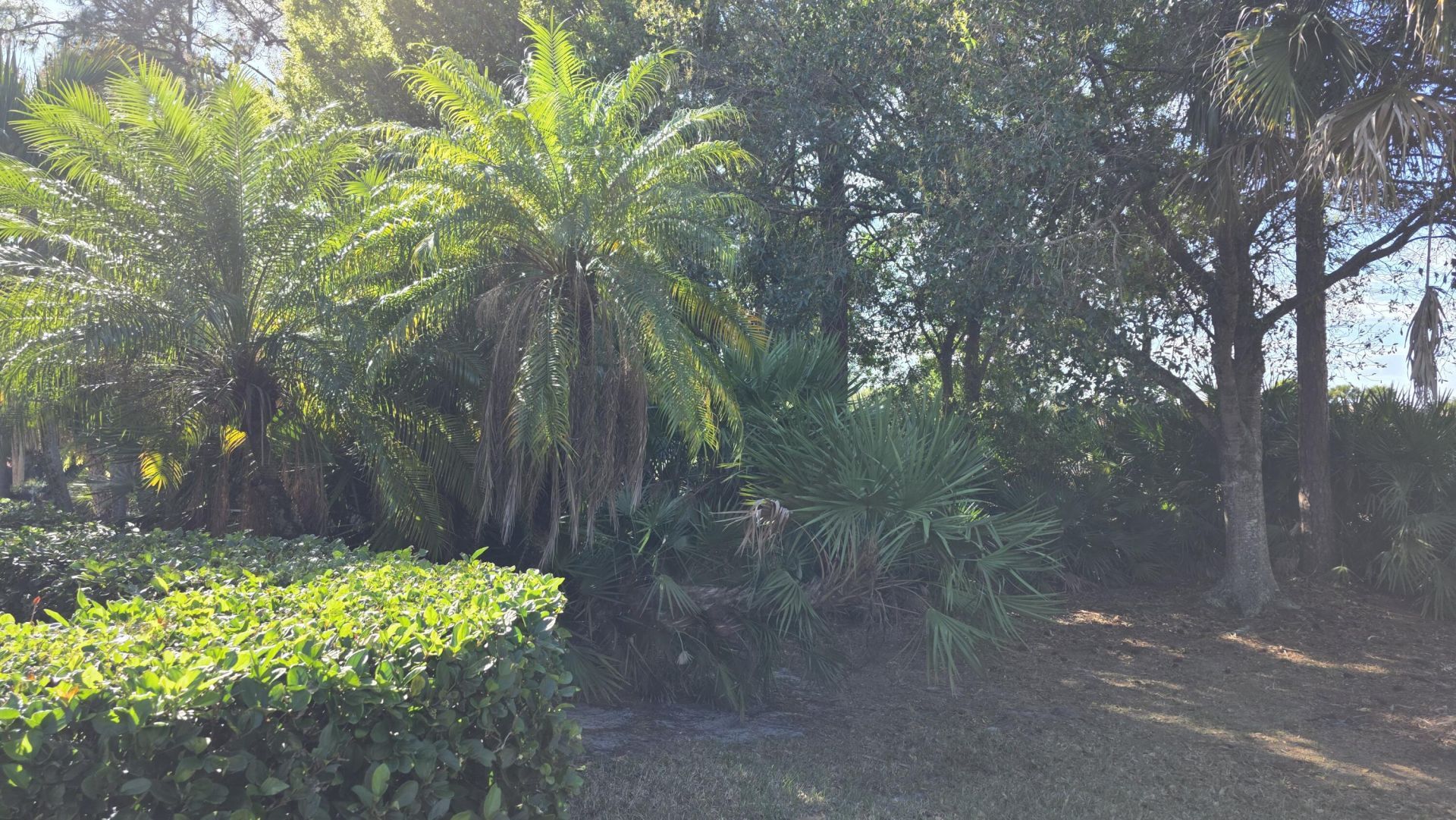 8761 Bally Bunion Road, Port Saint Lucie, FL 34986 Photo