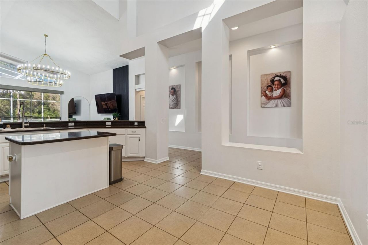 2328 Brinley Drive, Trinity, FL 34655 Photo