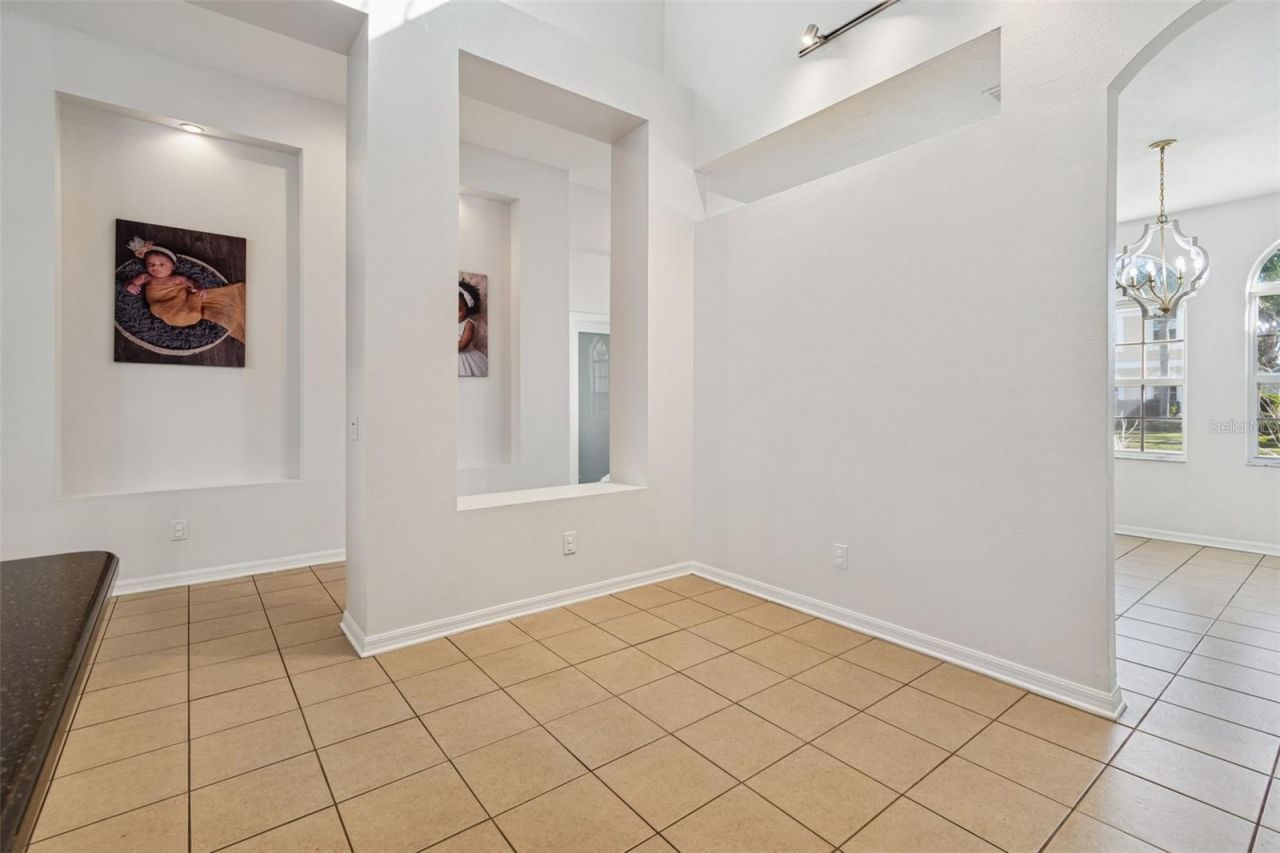 2328 Brinley Drive, Trinity, FL 34655 Photo