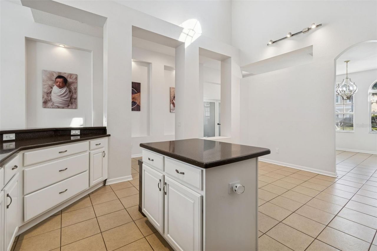 2328 Brinley Drive, Trinity, FL 34655 Photo