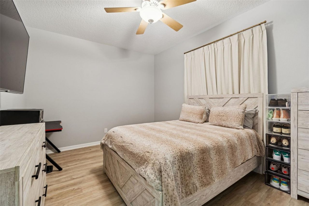 2328 Brinley Drive, Trinity, FL 34655 Photo