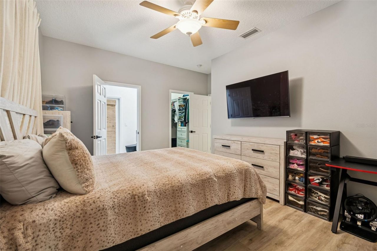 2328 Brinley Drive, Trinity, FL 34655 Photo