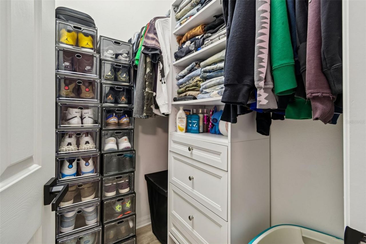 2328 Brinley Drive, Trinity, FL 34655 Photo