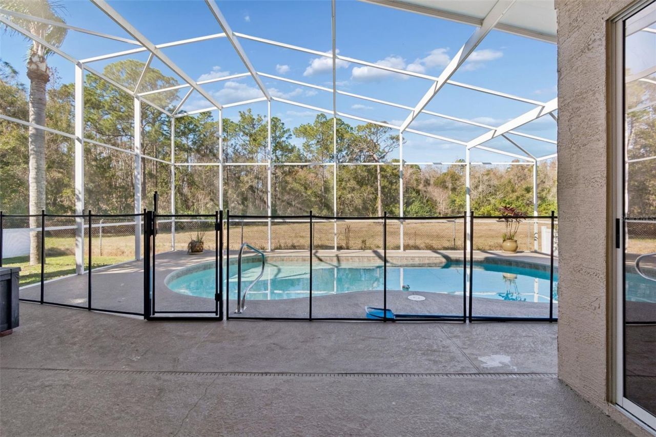 2328 Brinley Drive, Trinity, FL 34655 Photo