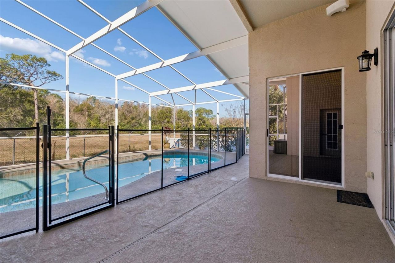 2328 Brinley Drive, Trinity, FL 34655 Photo