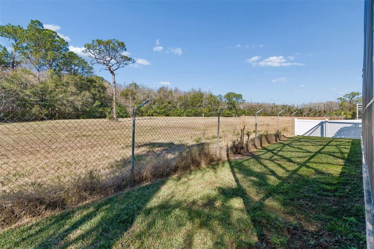 2328 Brinley Drive, Trinity, FL 34655 Photo