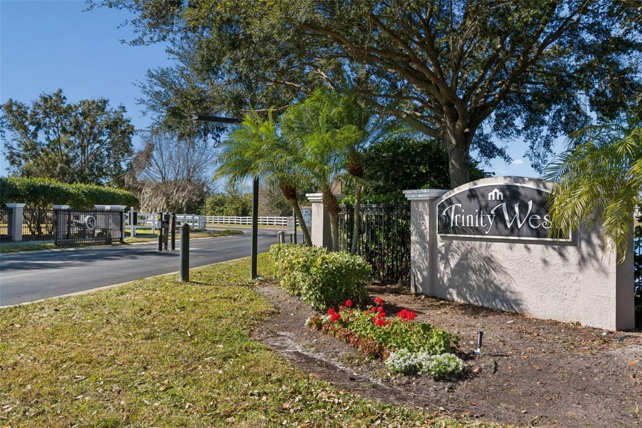 2328 Brinley Drive, Trinity, FL 34655 Photo