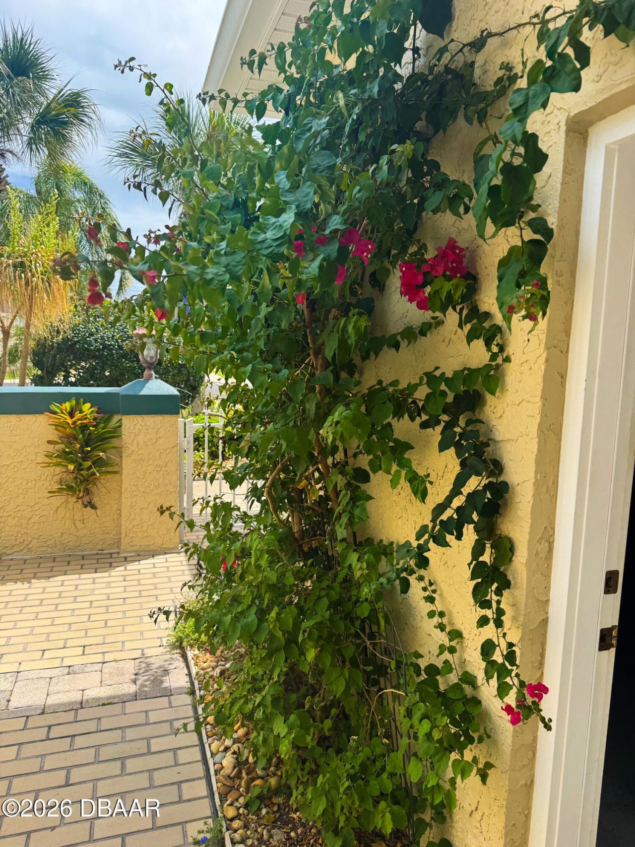 415 Bouchelle Drive, New Smyrna Beach, FL 32169 Photo