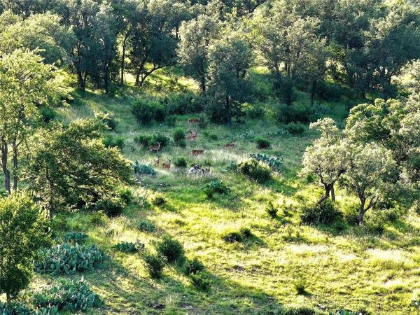 4 TBD CR 220, Briggs, TX 78608