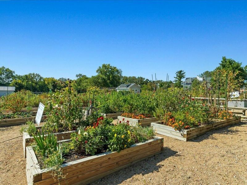 962 Ferndale Place , Unit 962, Bexley, OH 43209 Photo 20