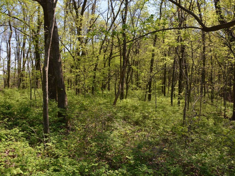 Property Image 11