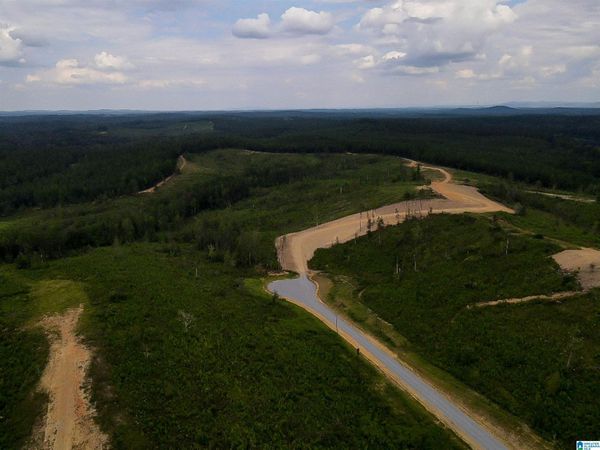 162 HERITAGE PINES CIRCLE, COLUMBIANA, AL 35051