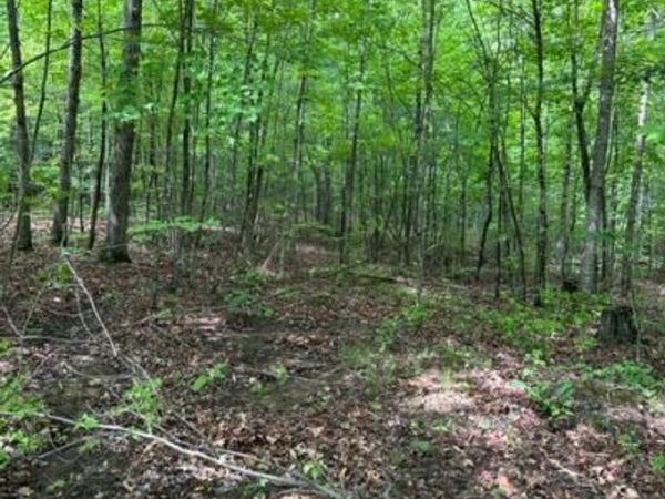 Lot 335 Flat Top View, Wilder, TN 38589