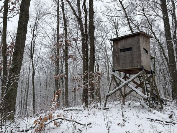 9194 Orion Trail, White Cloud, MI 49349