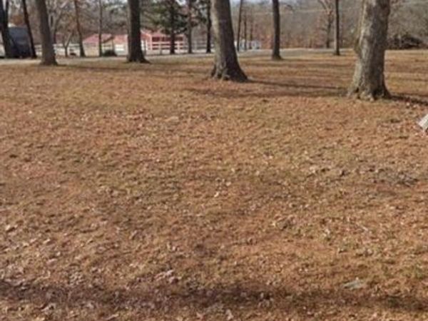 Lots 1 & 2 Hwy Ra, Wappapello, MO 63966