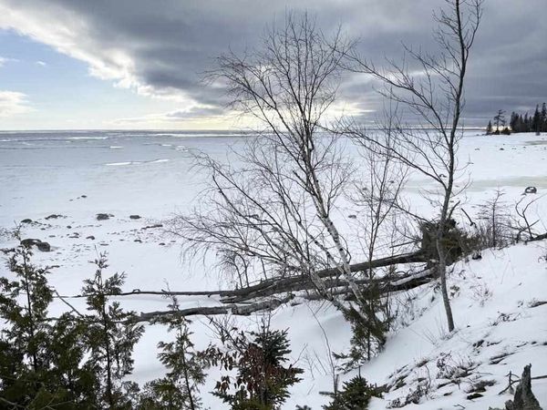 Unit 1 South End Road, Beaver Island, MI 49782