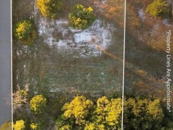 4911 Golden Bell Lane , Midlothian, TX 76065