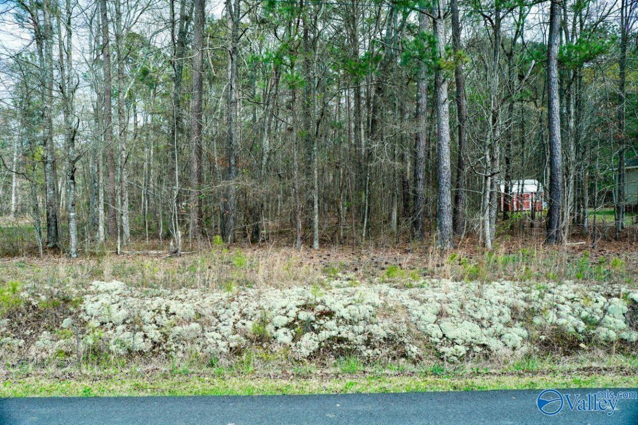 Lot 13 Hiawatha Place, Rainbow City, AL 35906 Main Photo