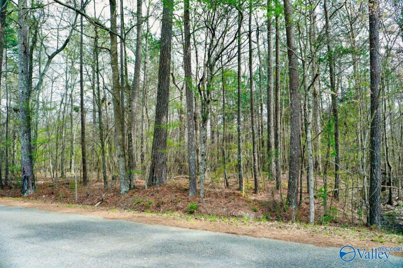 Lot 5 Indian Lake Drive, Rainbow City, AL 35906 Main Photo