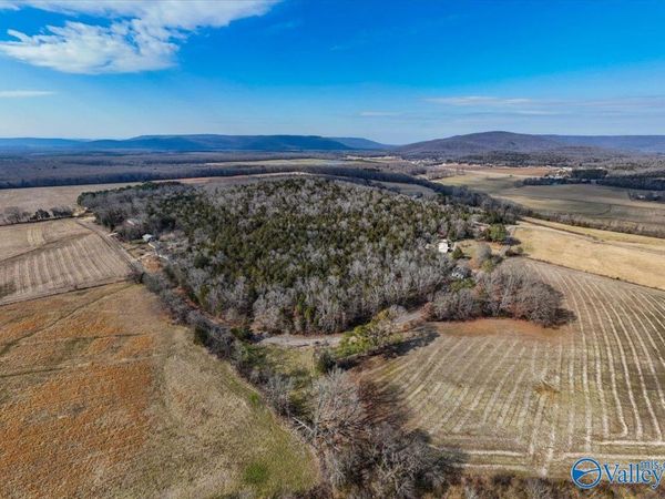 2.44 Acres-Lot2 County Road 214, Woodville, AL 35747