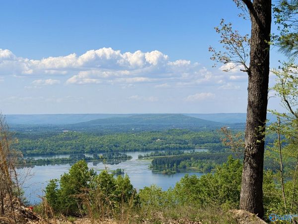 Lot 7 County Road 224, Dutton, AL 35744