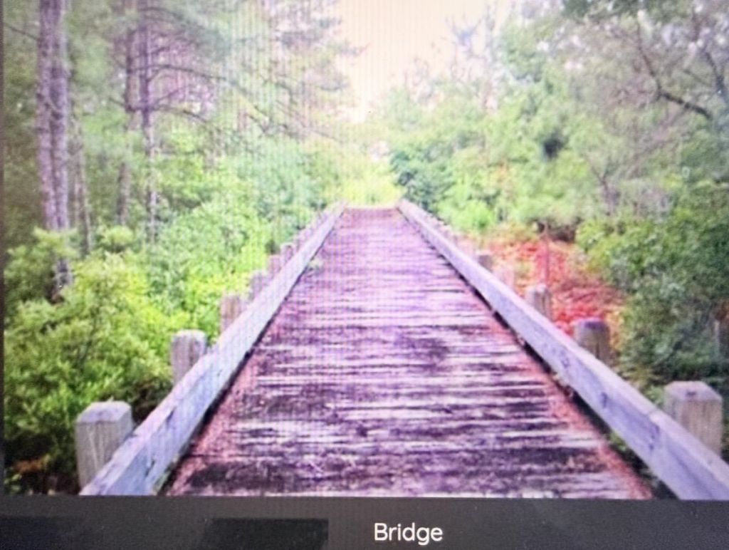 4348 Livorn Loop Photo 31