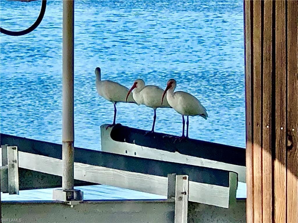 410 Cristobal St, Naples, FL 34113 Photo