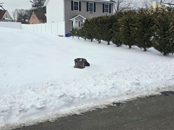 20 Chestnut Street , Wyandanch, NY 11798