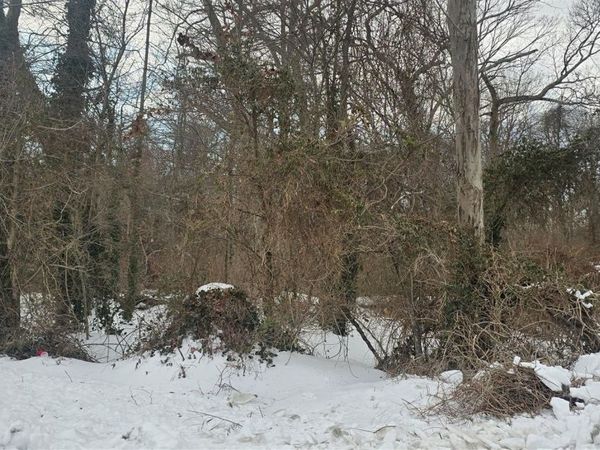 16 Hickory Street , Wyandanch, NY 11798