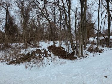 CR32 KILGORE ROAD Road, Bellaire, OH 43906