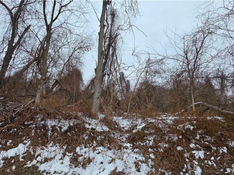 CR32 KILGORE ROAD Road, Bellaire, OH 43906 Photo 3