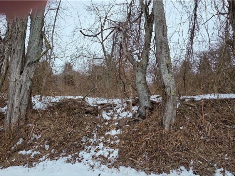 CR32 KILGORE ROAD Road, Bellaire, OH 43906 Photo 4