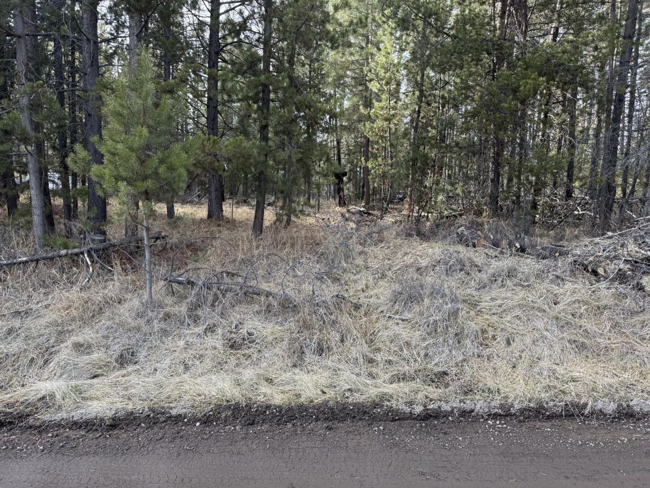 Willow Street, La Pine, OR 97739 Main Photo