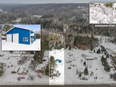 12000 M-32, Briley Twp, MI 49709