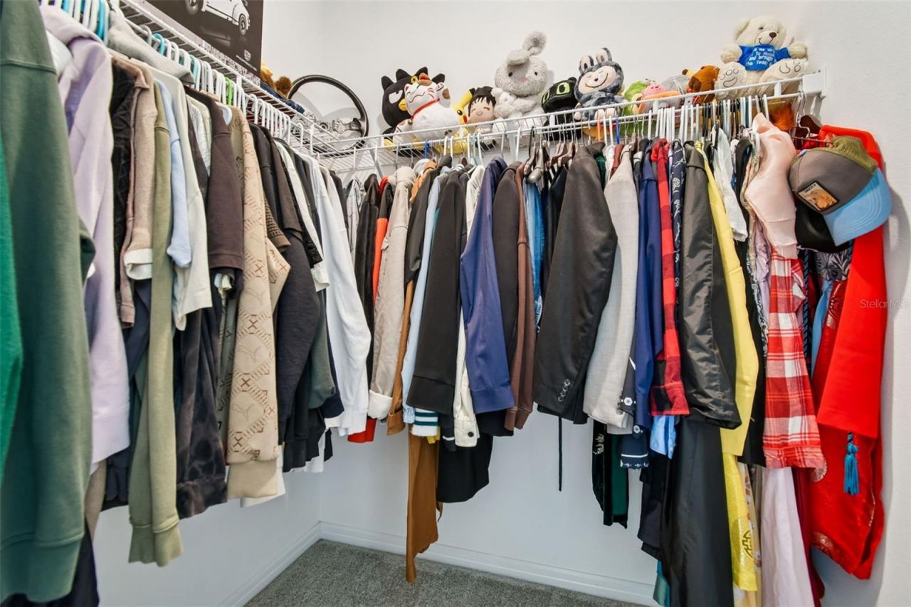 13816 Sharp Hawk Drive, Riverview, FL 33569 Photo