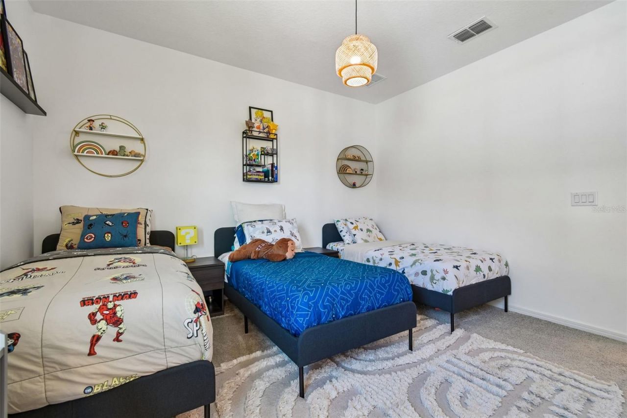 13816 Sharp Hawk Drive, Riverview, FL 33569 Photo