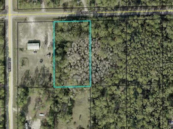 5603 CHESTNUT AVENUE, BUNNELL, FL 32110